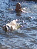 swim in the lake with your dog